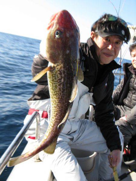 Aquanaut(アクアノート) 釣果