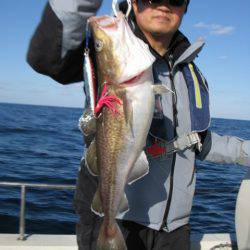 Aquanaut(アクアノート) 釣果