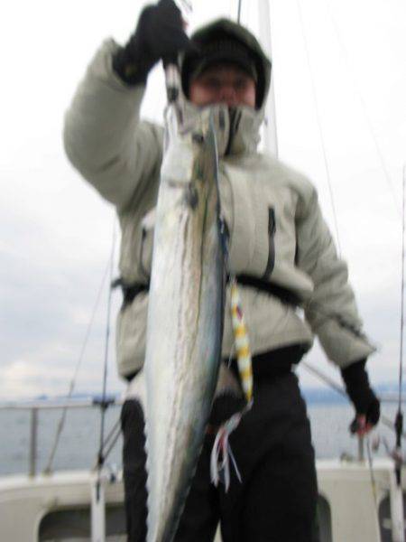 Aquanaut（アクアノート） 釣果