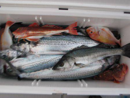 Aquanaut(アクアノート) 釣果