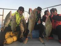 群星・むるぶし 釣果