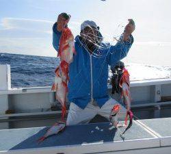 太郎丸 釣果