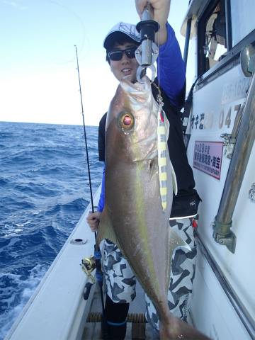 ゆりか 釣果