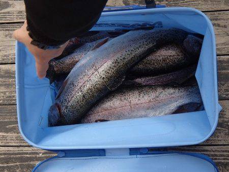 志高湖フィッシング 釣果