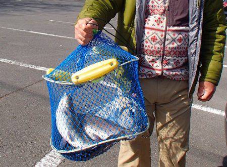 志高湖フィッシング 釣果