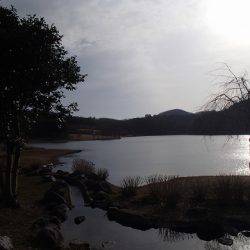 志高湖フィッシング 釣果