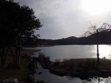 志高湖フィッシング 釣果