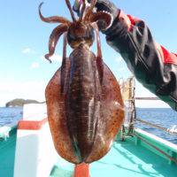 久勝丸 釣果