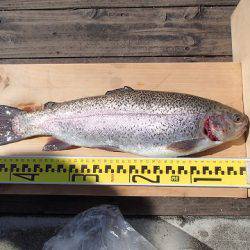 志高湖フィッシング 釣果