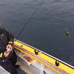 えさ政釣船店 釣果