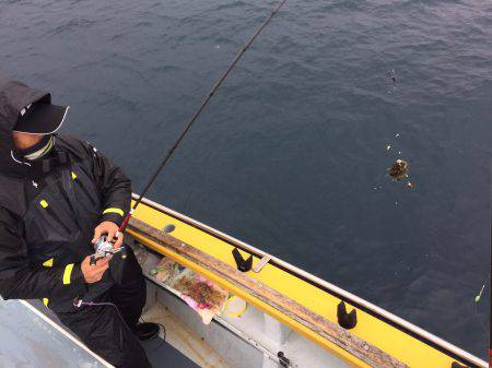 えさ政釣船店 釣果