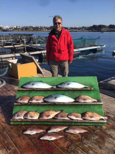 みうら海王 釣果