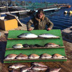 みうら海王 釣果