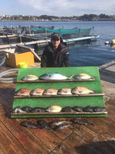 みうら海王 釣果