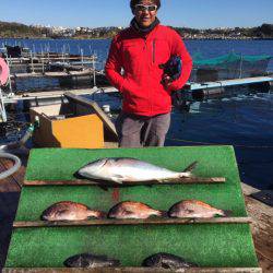 みうら海王 釣果