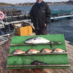 みうら海王 釣果