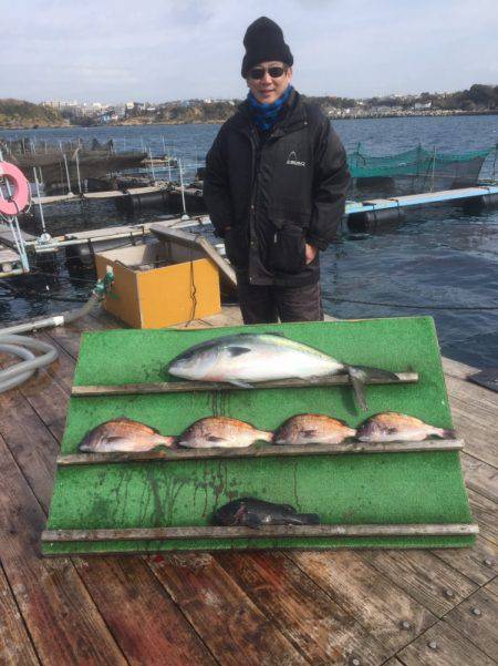 みうら海王 釣果