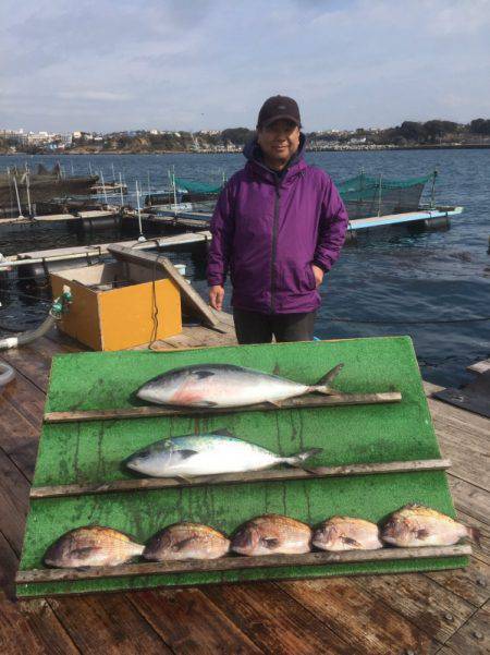 みうら海王 釣果