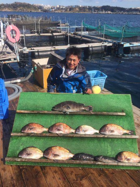 みうら海王 釣果