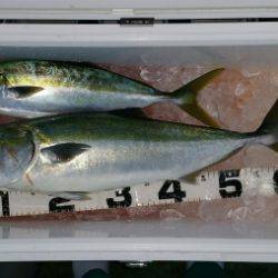 火遠理丸（ほおりまる） 釣果