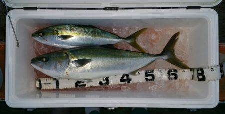 火遠理丸（ほおりまる） 釣果