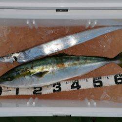 火遠理丸（ほおりまる） 釣果