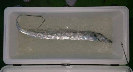 火遠理丸（ほおりまる） 釣果