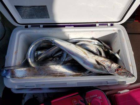 遊漁船　ニライカナイ 釣果