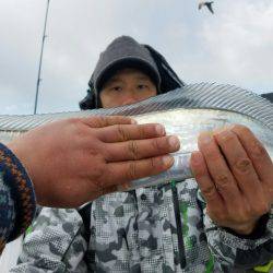遊漁船　ニライカナイ 釣果