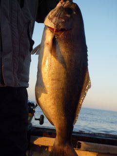 松福丸 釣果