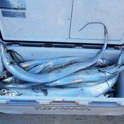 遊漁船 ニライカナイ 釣果