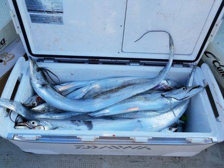 遊漁船 ニライカナイ 釣果