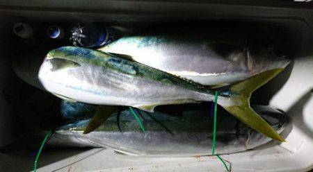 スカイマリン 釣果