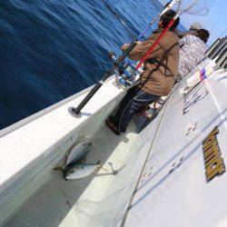 スカイマリン 釣果