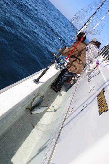 スカイマリン 釣果