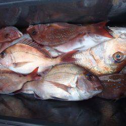 第二むつ漁丸 釣果