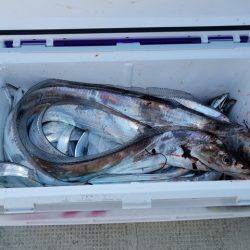 遊漁船　ニライカナイ 釣果