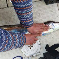 遊漁船　ニライカナイ 釣果