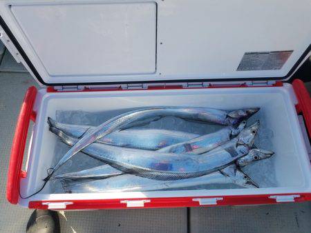 遊漁船　ニライカナイ 釣果