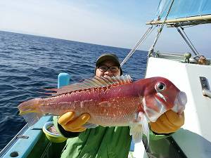 利八丸 釣果