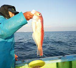 利八丸 釣果