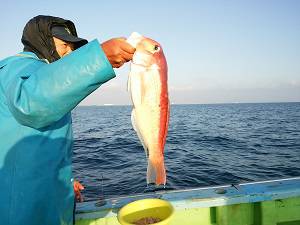 利八丸 釣果