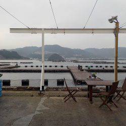 淡路じゃのひれフィッシングパーク 釣果