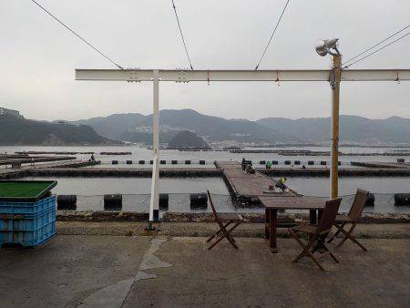 淡路じゃのひれフィッシングパーク 釣果