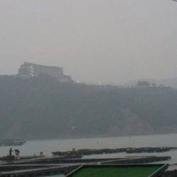 淡路じゃのひれフィッシングパーク 釣果