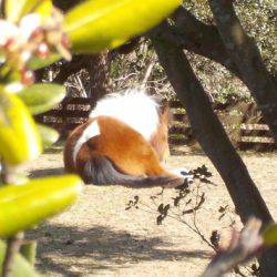 淡路じゃのひれフィッシングパーク 釣果