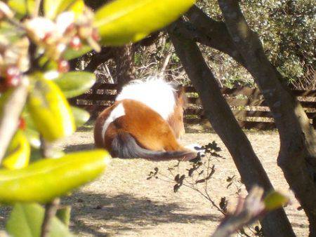 淡路じゃのひれフィッシングパーク 釣果