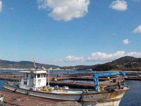 淡路じゃのひれフィッシングパーク 釣果