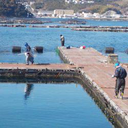 淡路じゃのひれフィッシングパーク 釣果