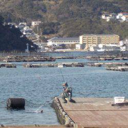 淡路じゃのひれフィッシングパーク 釣果